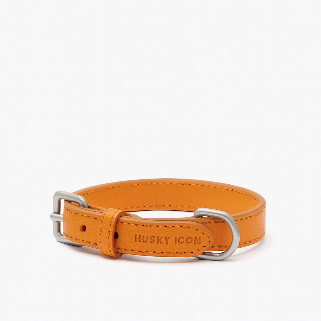 Collar ICON Orange